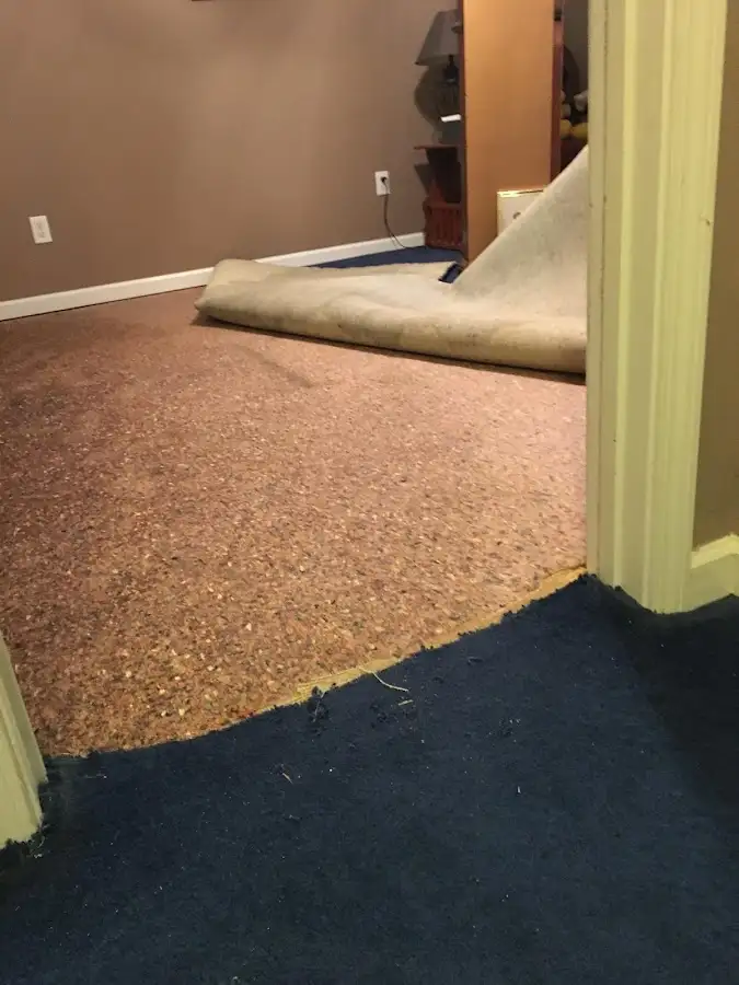 Carpet pad removal revealing water damage during Water Mitigation Services in Sarasota Springs